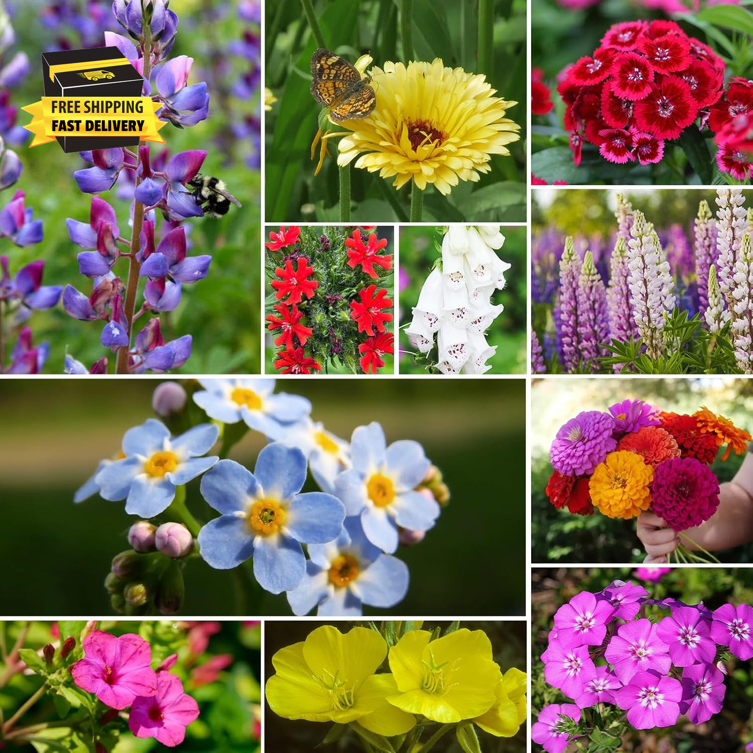 Wildflower Seeds Mix 25,000+, 24 Varieties Perennial & Annual Seeds,1 Oz, for Hu