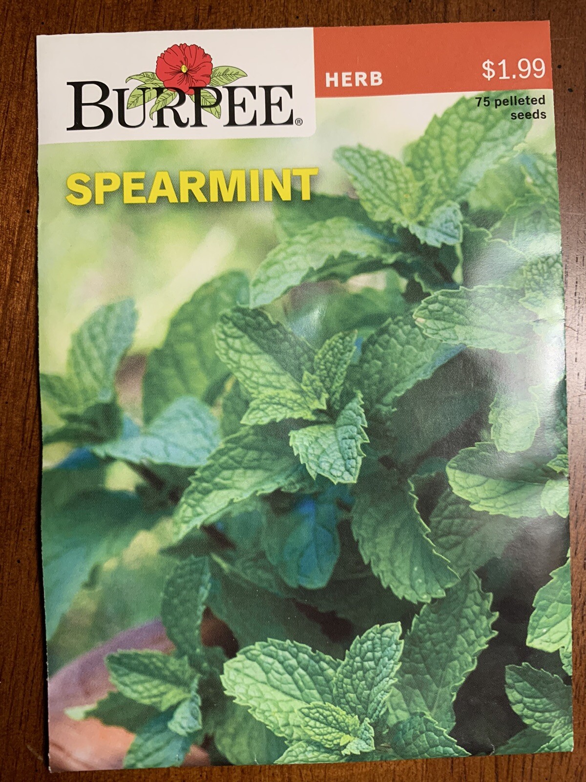 Burpee Common Spearmint Herb Seeds Container Friendly Partial Sun Seed Packet