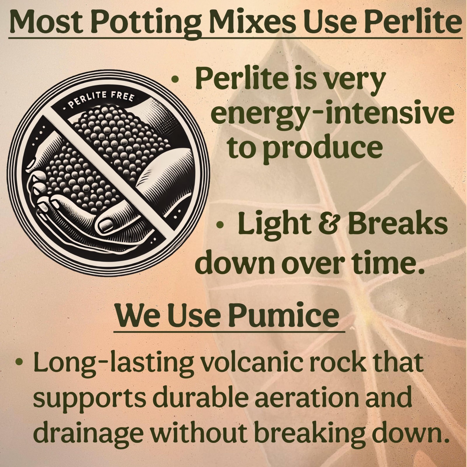 Organic Potting Mix for Aroids – Well-Draining Soil for Alocasia, Monstera, Phil