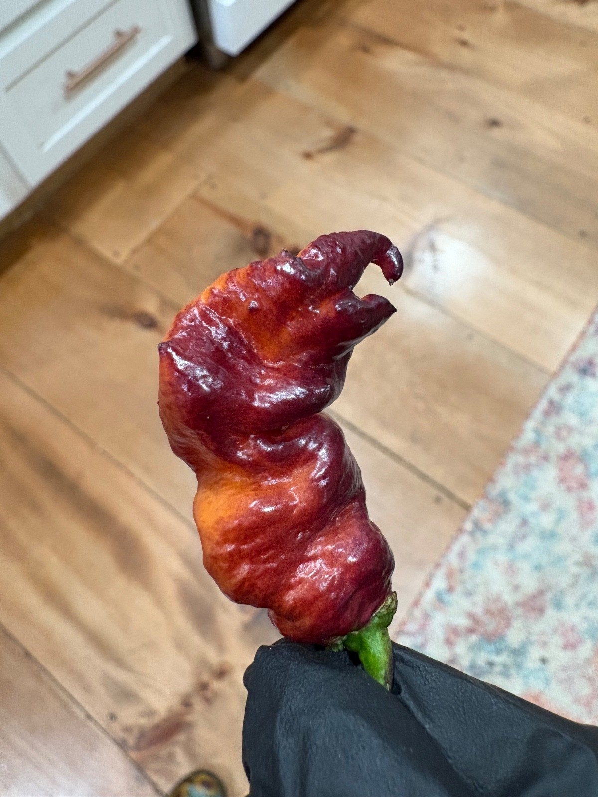 20 RARE Pink Tiger Reaper Seeds