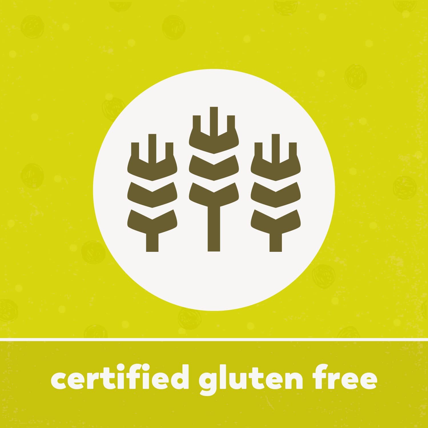 Teff Seeds 2.2 lb GlutenFree, GMOFree Whole Grain, High Fiber & Iron