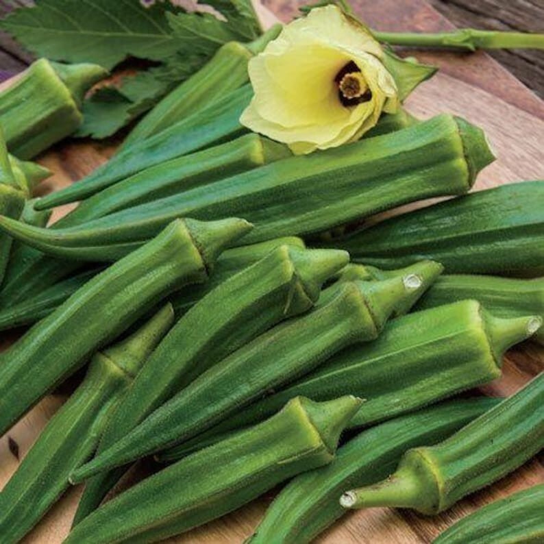 100+ Emerald Okra Seeds ——– HEIRLOOM – NON GMO