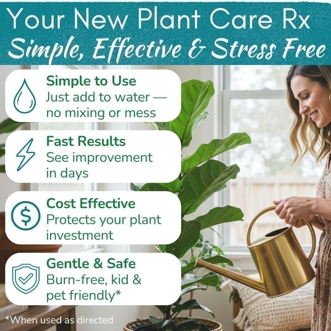 Fiddle Leaf Fig Rescue Drops – 3-in-1 Fertilizer, Root & Immunity Boost (100ml)