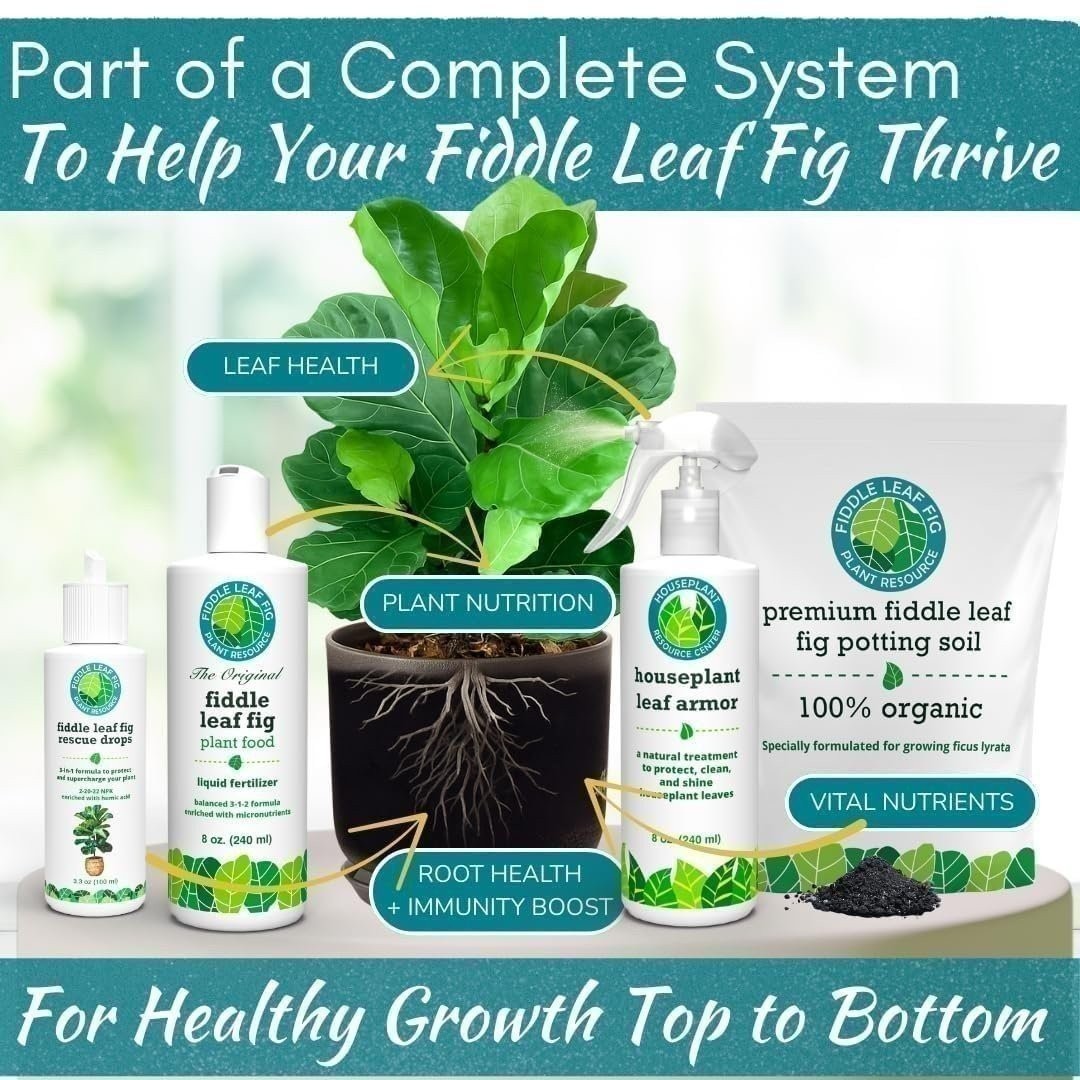 Fiddle Leaf Fig Rescue Drops – 3-in-1 Fertilizer, Root & Immunity Boost (100ml)