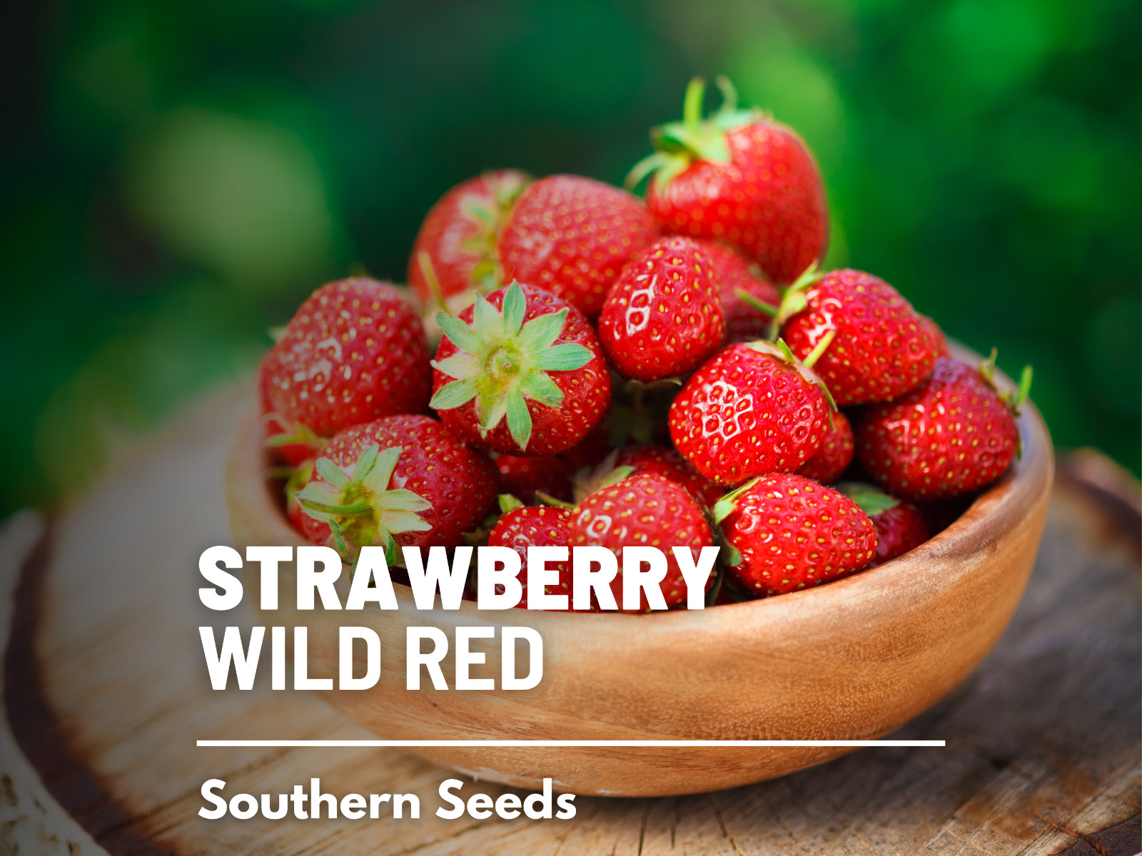 Strawberry, Wild Red – Heirloom Seeds – Culinary & Medicinal (Fragaria vesca)