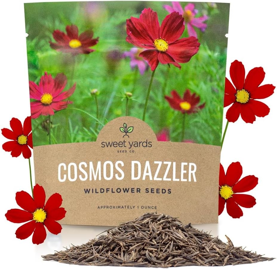 Dazzler Cosmos Wildflower Seeds – Extra Large 1 Ounce Packet – Over 5000 Fresh