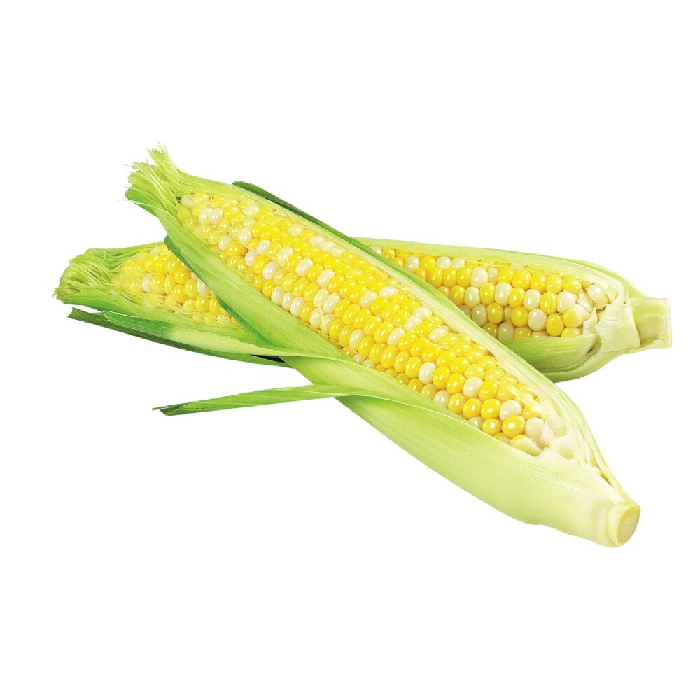 Peaches And Cream Corn Seeds 25 Ct Sweet Vegetable Garden NON-GMO USA