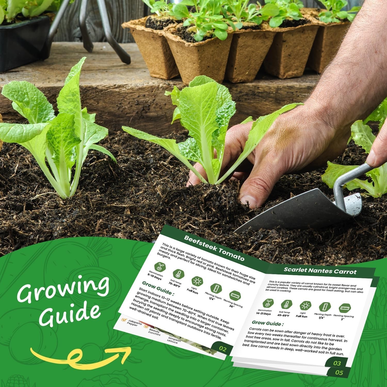 【Seed Vault】 Heirloom Vegetable Seeds Planting Kit – 25,000+ Non-Gmo Seeds for