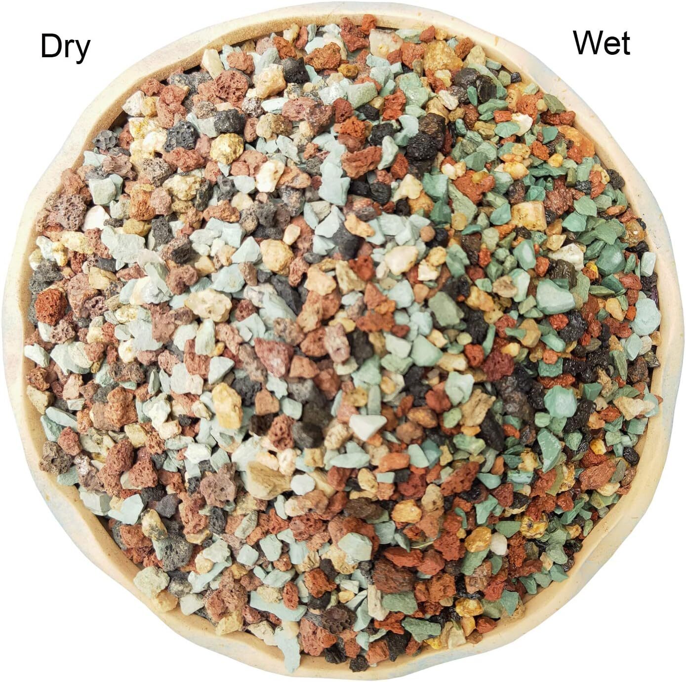5Lb Succulent Soil Mix Gritty Blend For Cactus Drainage And Root Health