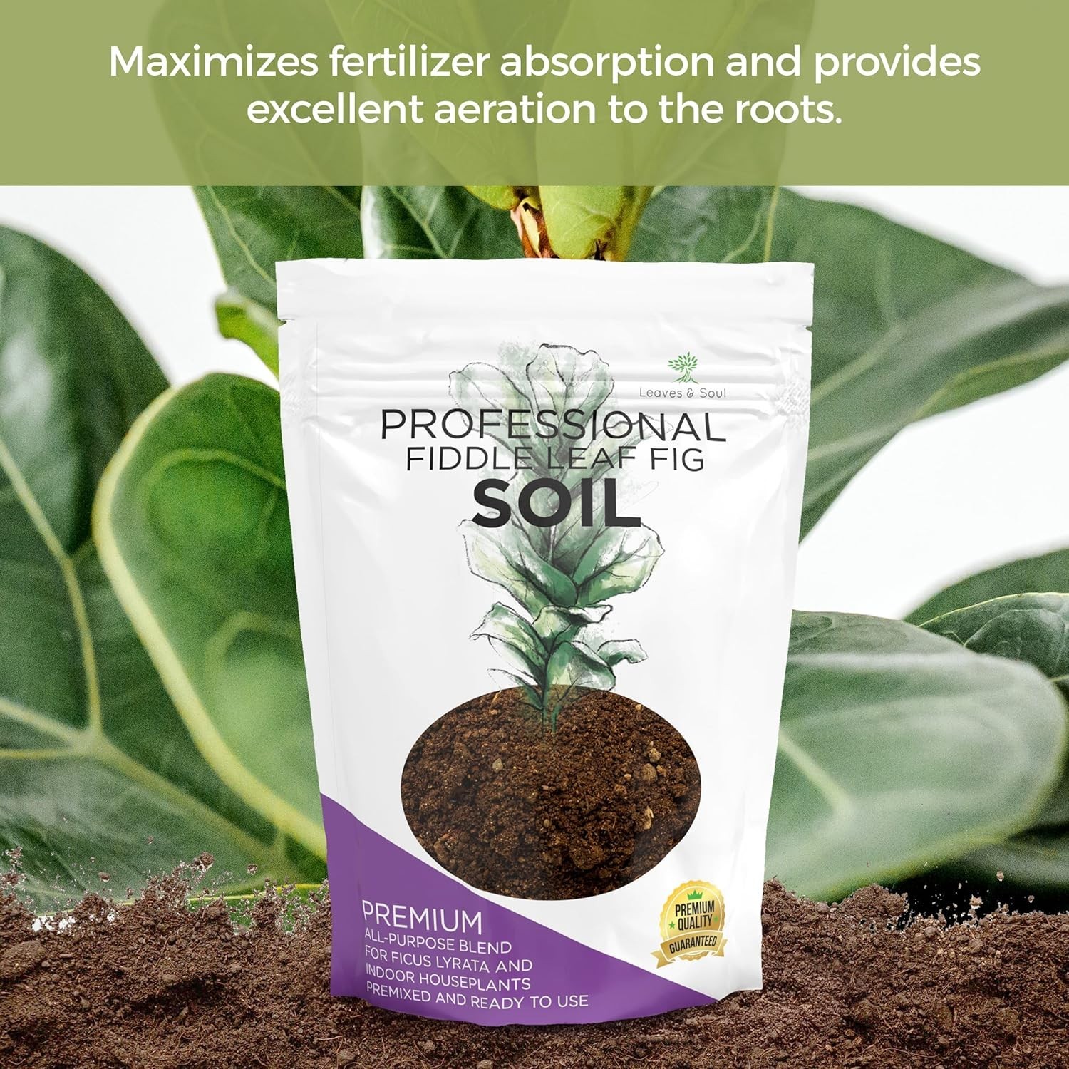 Fiddle Leaf Fig Soil Blend – 2.2 Quarts Ready to Use for Houseplants