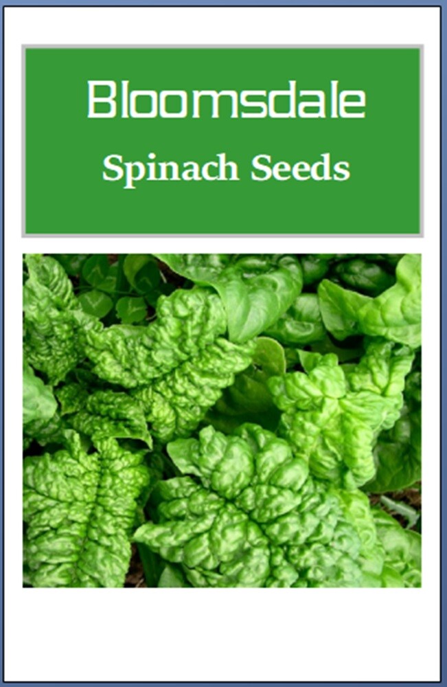 Bloomsdale Long Standing Spinach Seeds | NON-GMO | Heirloom | Fresh Garden Seeds