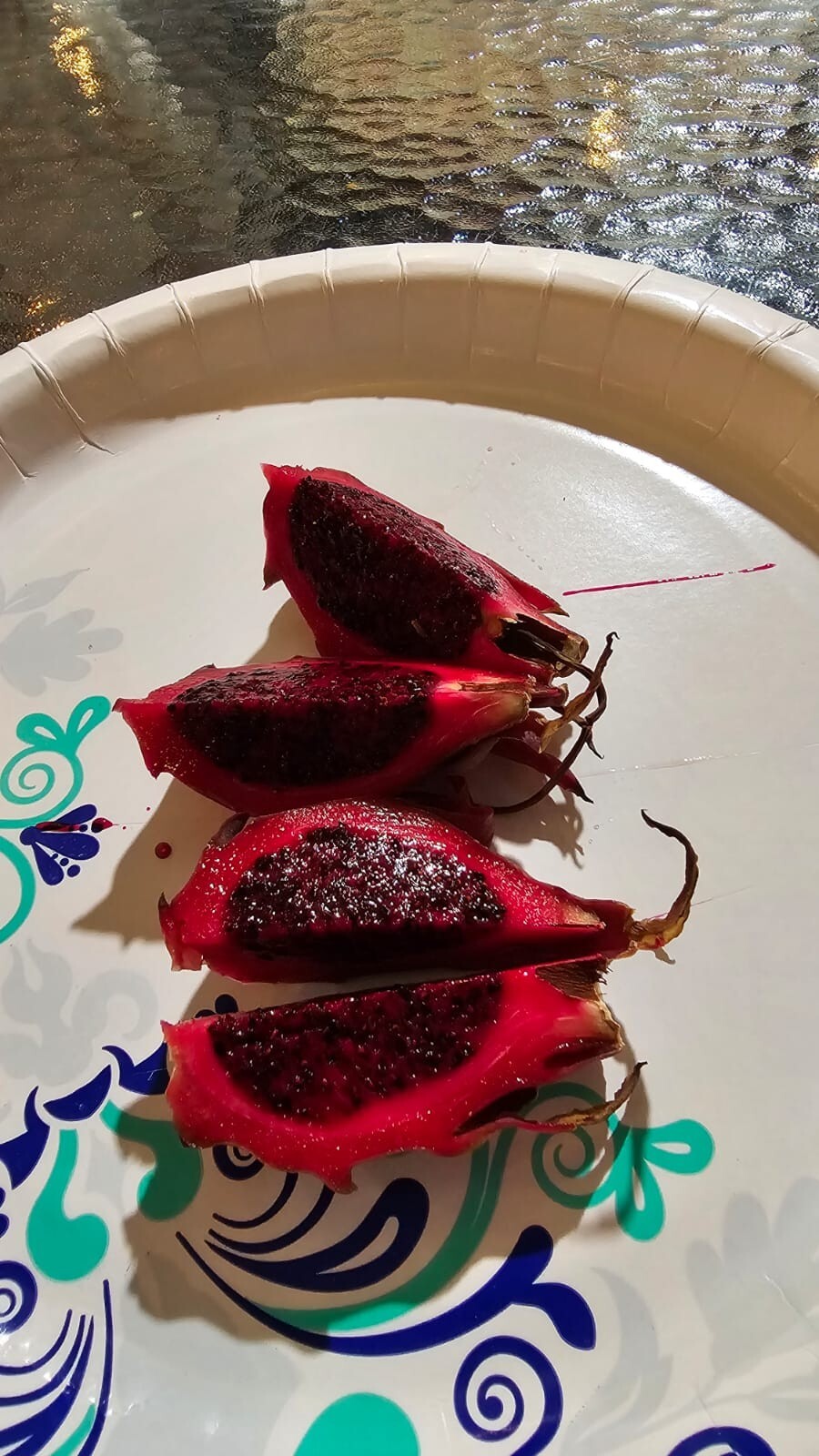 DRAGON FRUIT CUTTINGS – MULTIPLE VARIETIES 8-12 inches