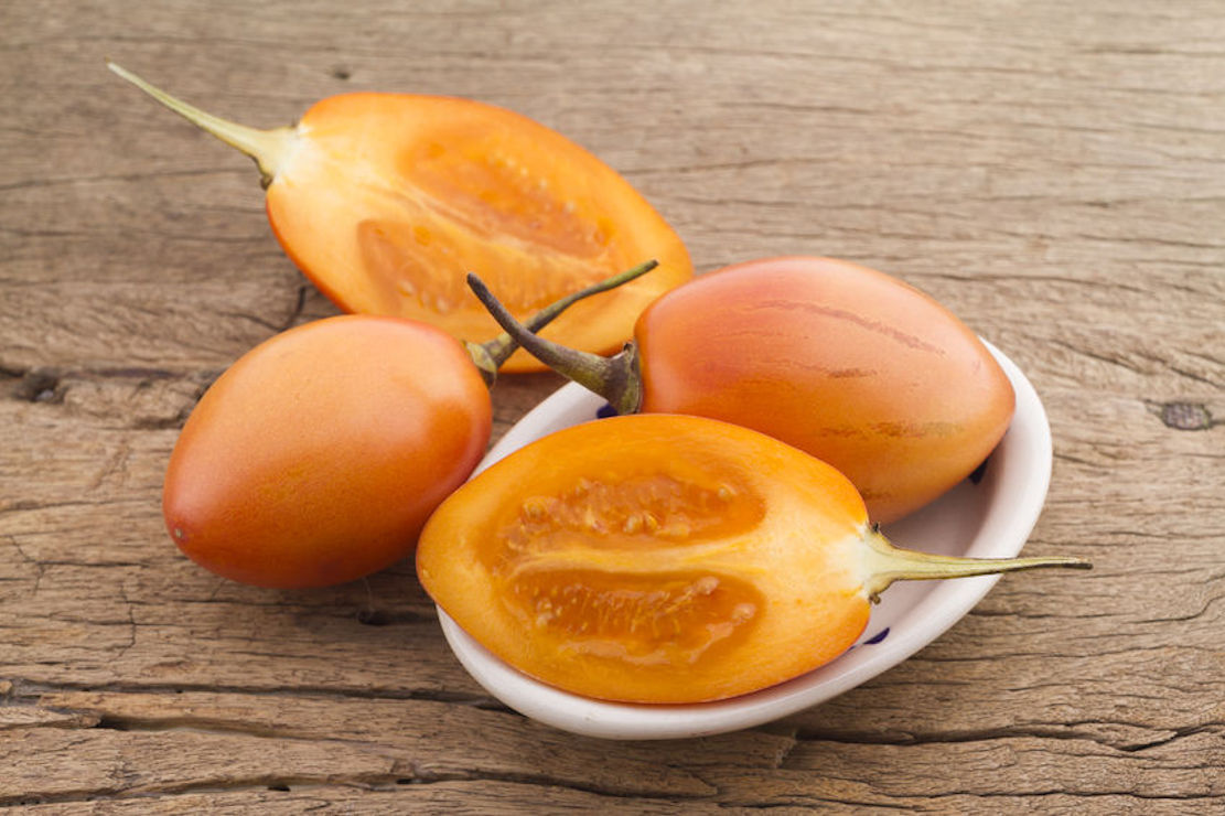 Tropical Seeds-Yellow Tropical Tree Tomato -10 Seeds – Solanum Betacea