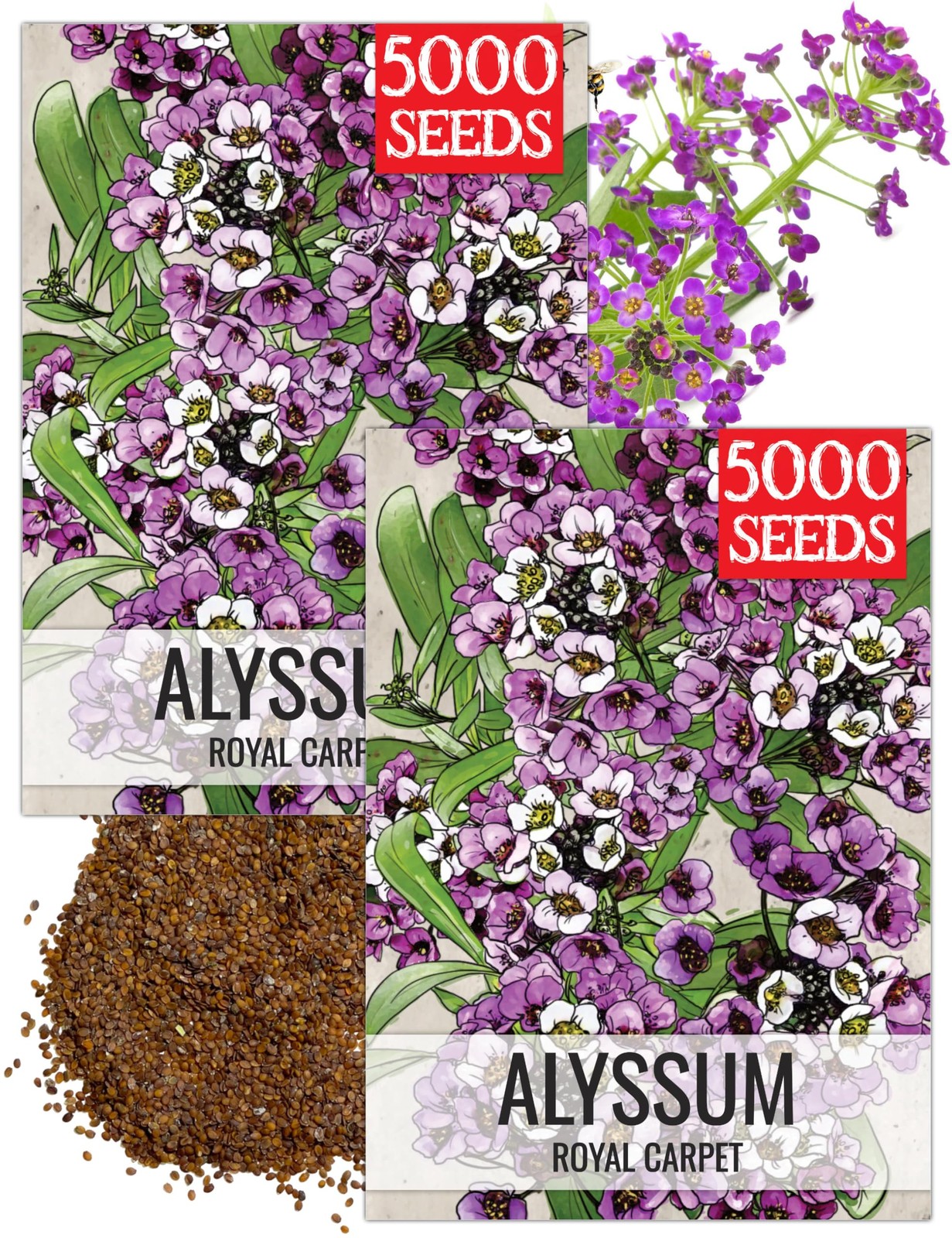 Royal Carpet Alyssum Seeds – Heirloom Perennial Flowers for Pollinator Gardens