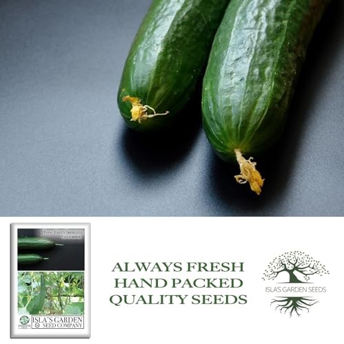 Long Green Improved Cucumber Seeds (Cucumis sativus) – 100+ Heirloom Non GMO