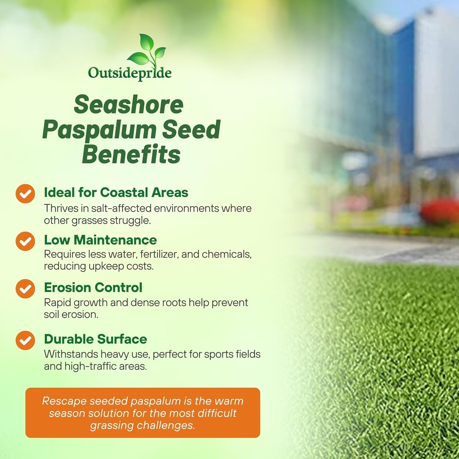 25 LBS Rescape Seashore Paspalum Lawn Grass Seed