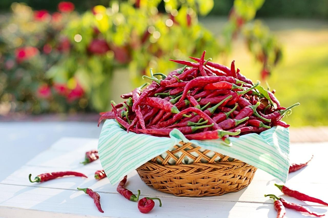 Cayenne Pepper Seeds for Planting, 200 Hot Pepper Seeds Cayenne Jalapeno, Non-Gm