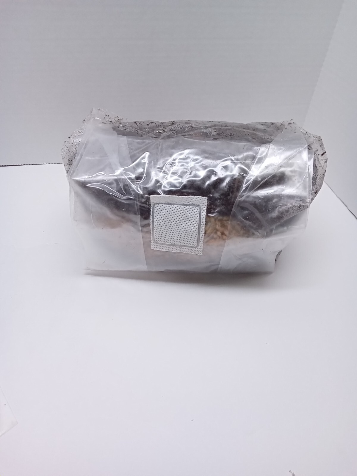 5 lb All in One Mushroom Grow Bag Sterilized GROWING BIO-BAG KIT FAST SHIP [A]