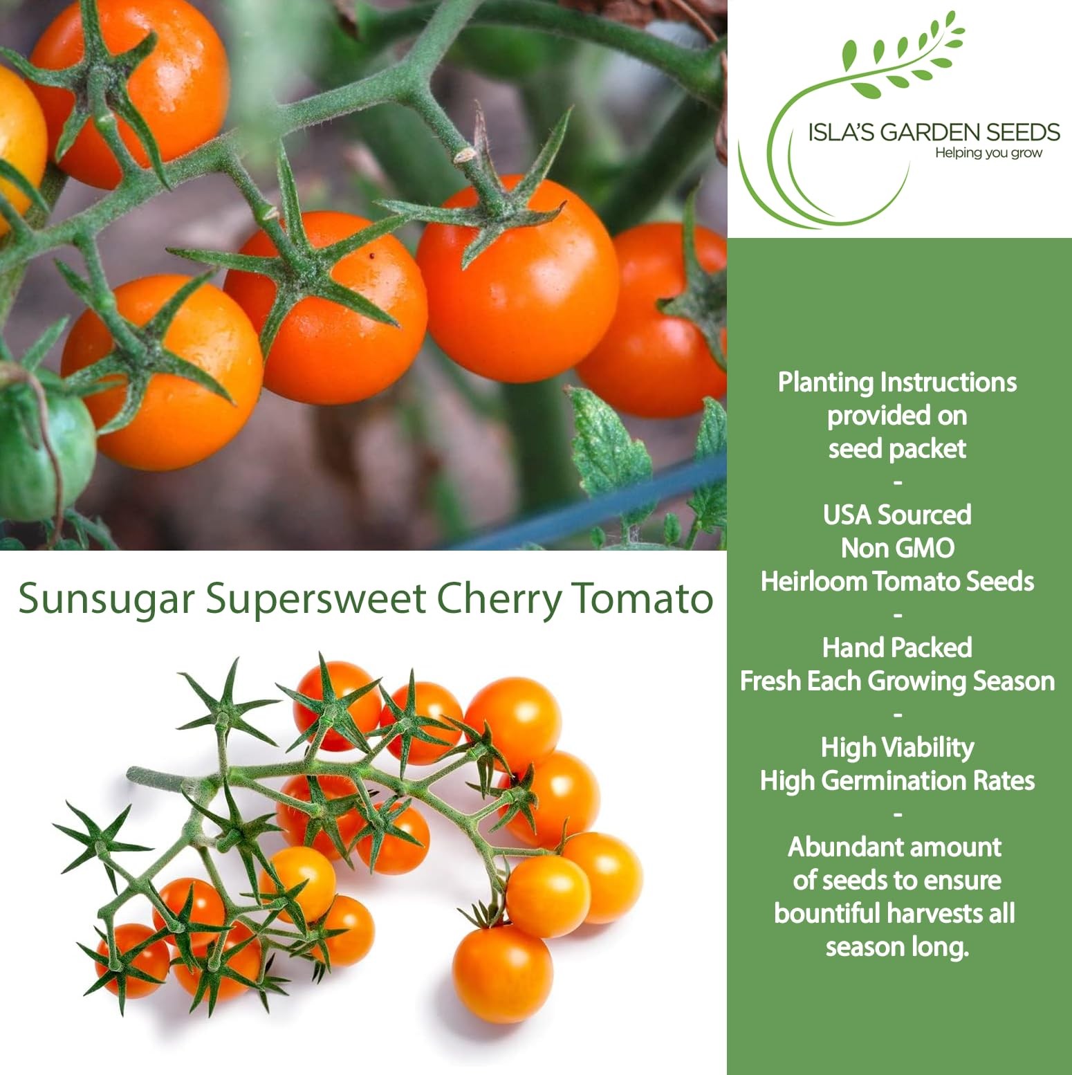 Sunsugar Supersweet Cherry Tomato Seeds Lycopersicon lycopersicum – 20+ Heirl…
