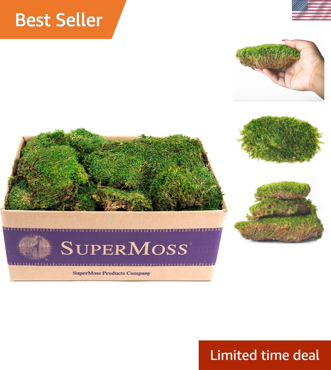 21538 Mood Moss Preserved, Fresh Green, 3 Pounds