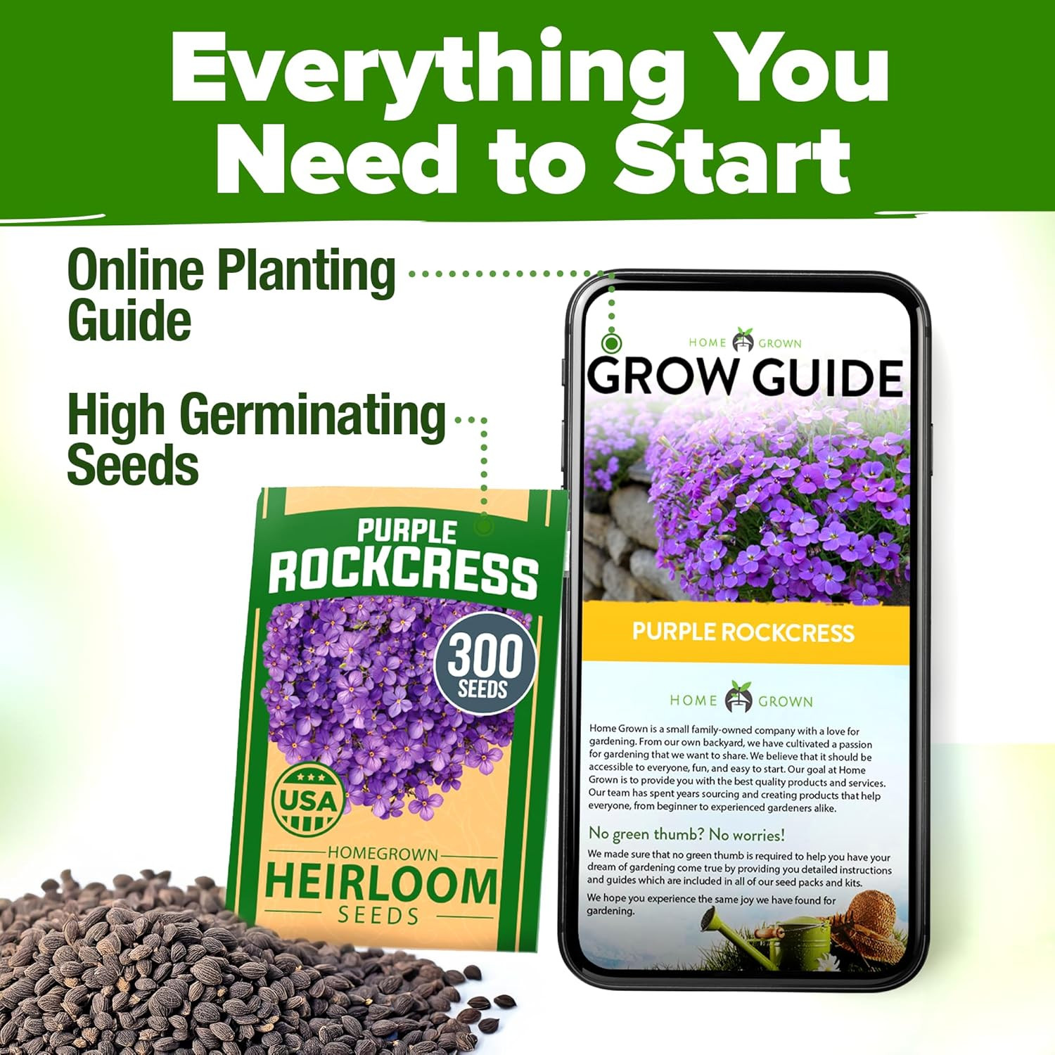 Aubrieta Rock Cress Purple, Flowering Ground Cover Seed Pack, Non GMO Perennial