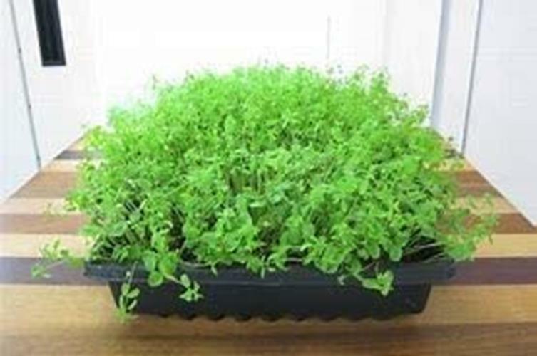 4 oz Flax