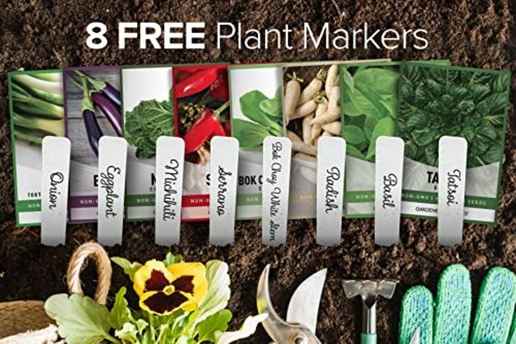 , Asian Vegetable Seeds for Planting 8 Packets Bok Choy, Michihili (Napa)