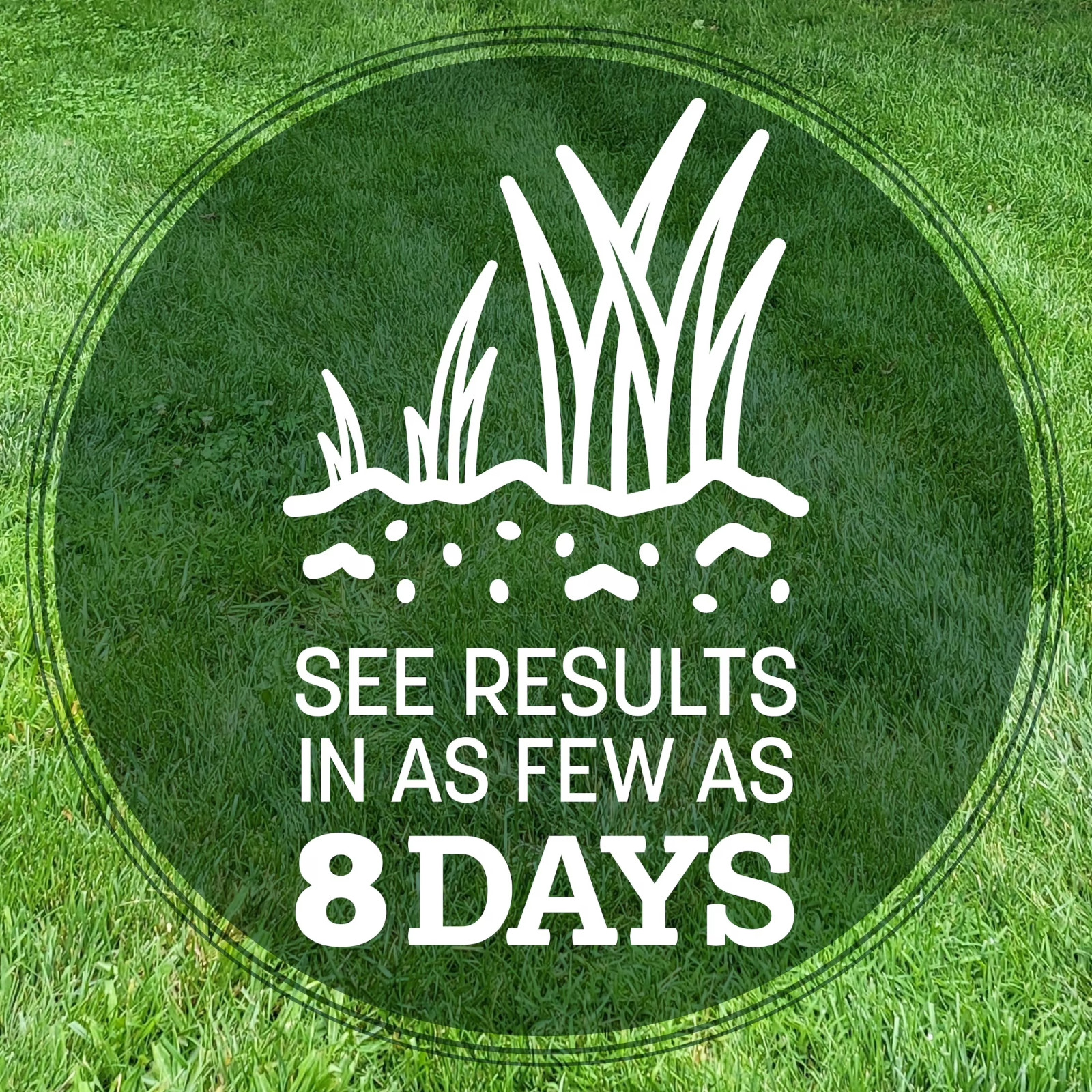 Pennington Kentucky 31 Tall Fescue Grass Seed 20 lb Sun & Shade Lawn Seed