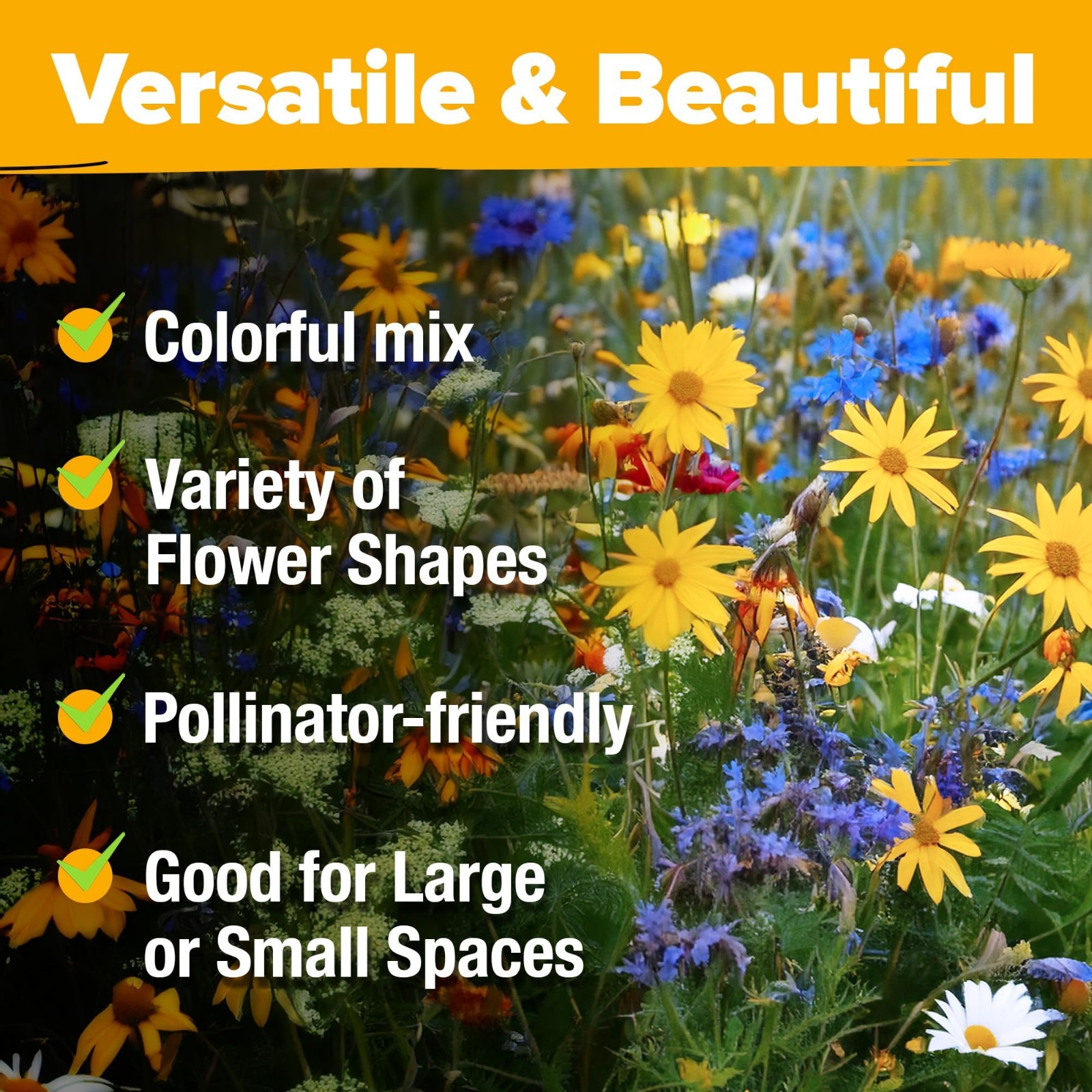Wildflower Seeds Bulk Mix – 90,000+ Non-GMO Perennial Flower Seeds for Garden –