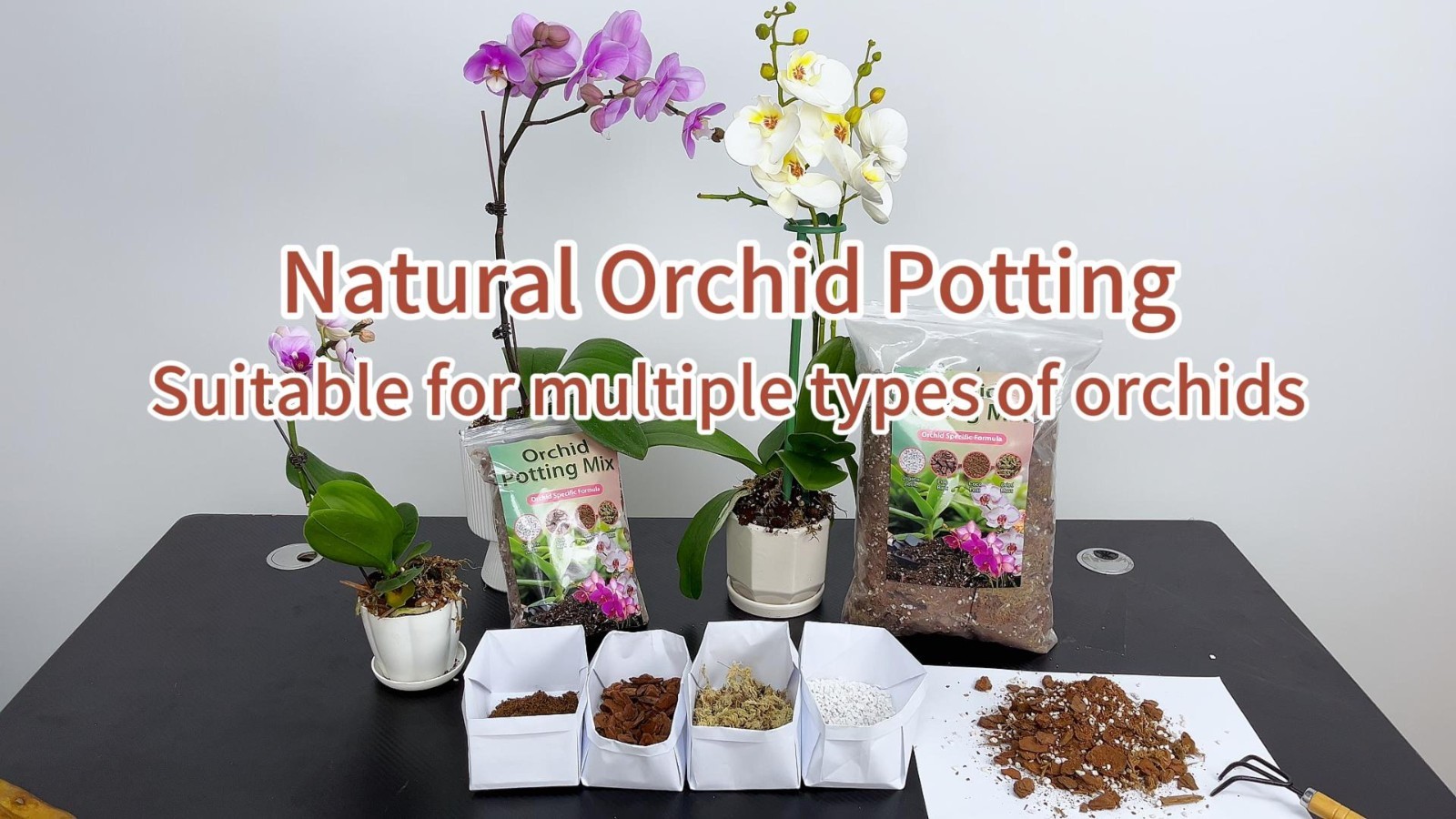 Orchid Potting Mix 4 Quarts – Premium Soil Blend with Pine Bark, Perlite & Coco