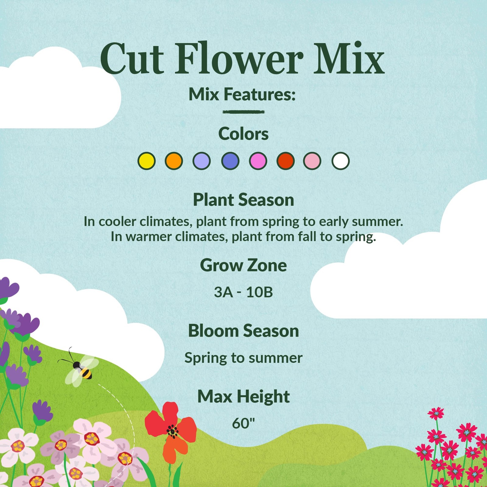 Bulk Wildflower Seeds Cut Flower Mix – 1lb Pack for Garden Planting