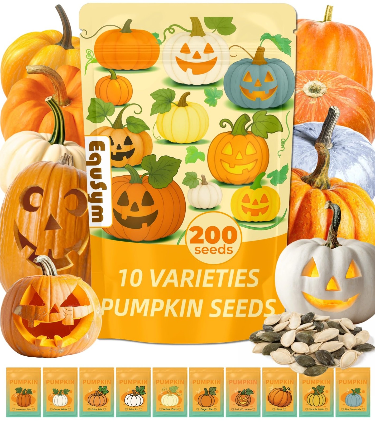 200+ Pumpkin Seeds for Planting – 10 Orange, Yellow, Blue, White color