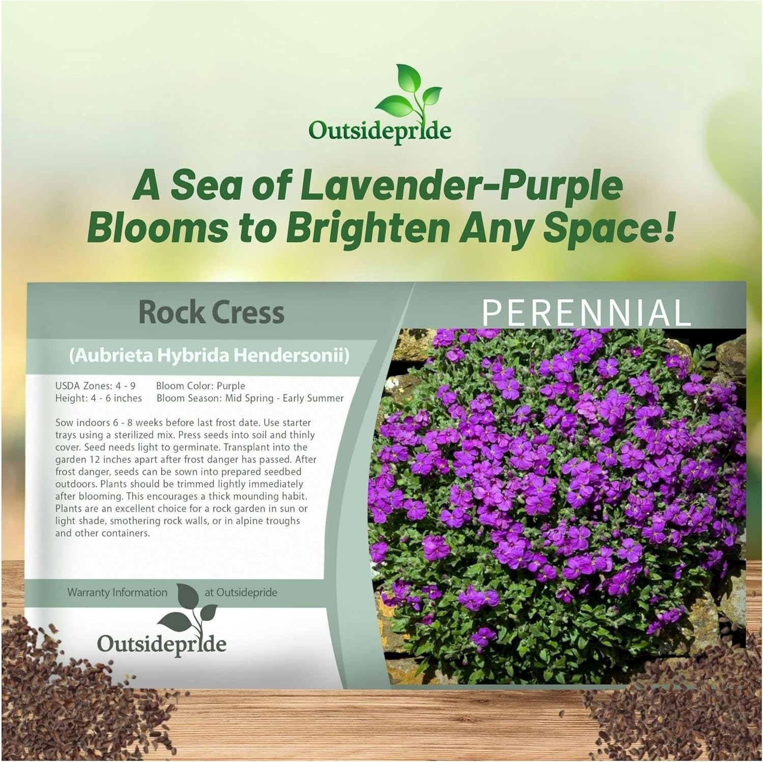 10000 Seeds Aubrieta Seeds – Rock Cress Ground Cover Plant Seed
