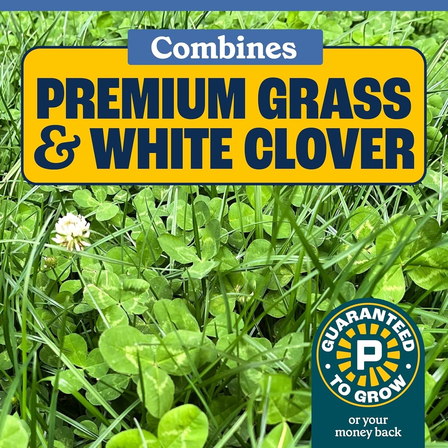 Clover & Grass Mix (7 lbs) – Quick Establishment & Water Saving