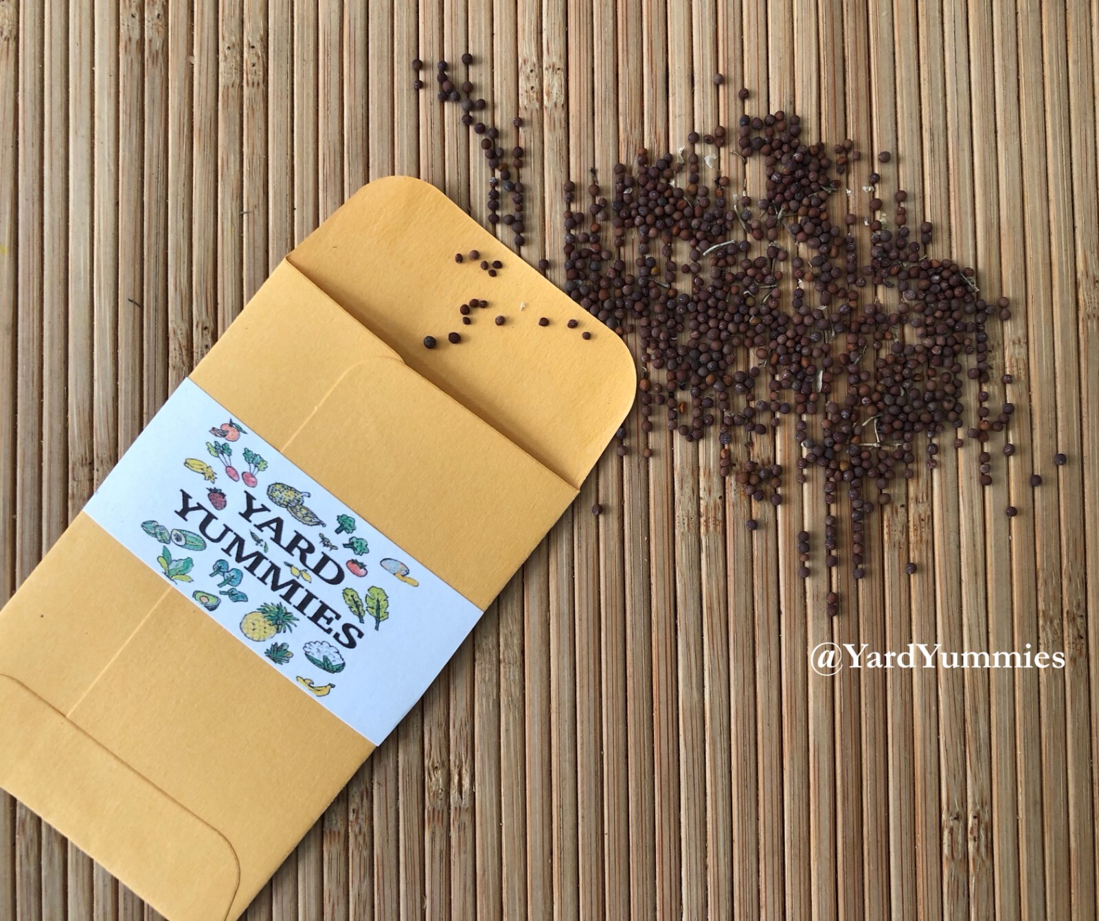 Ethiopian Kale SEEDS- Brassica Carinata- African Kale Ethiopian Mustard Green
