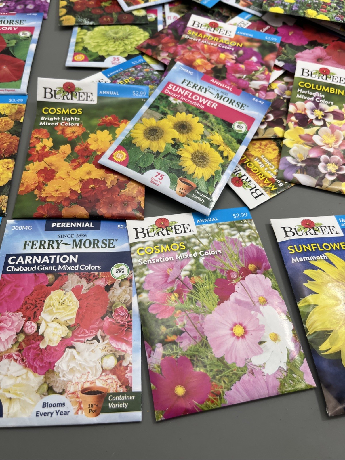 Flowers annual perennial Plant Seeds (Assorted Lot of 100) sell by 11/26 Garden