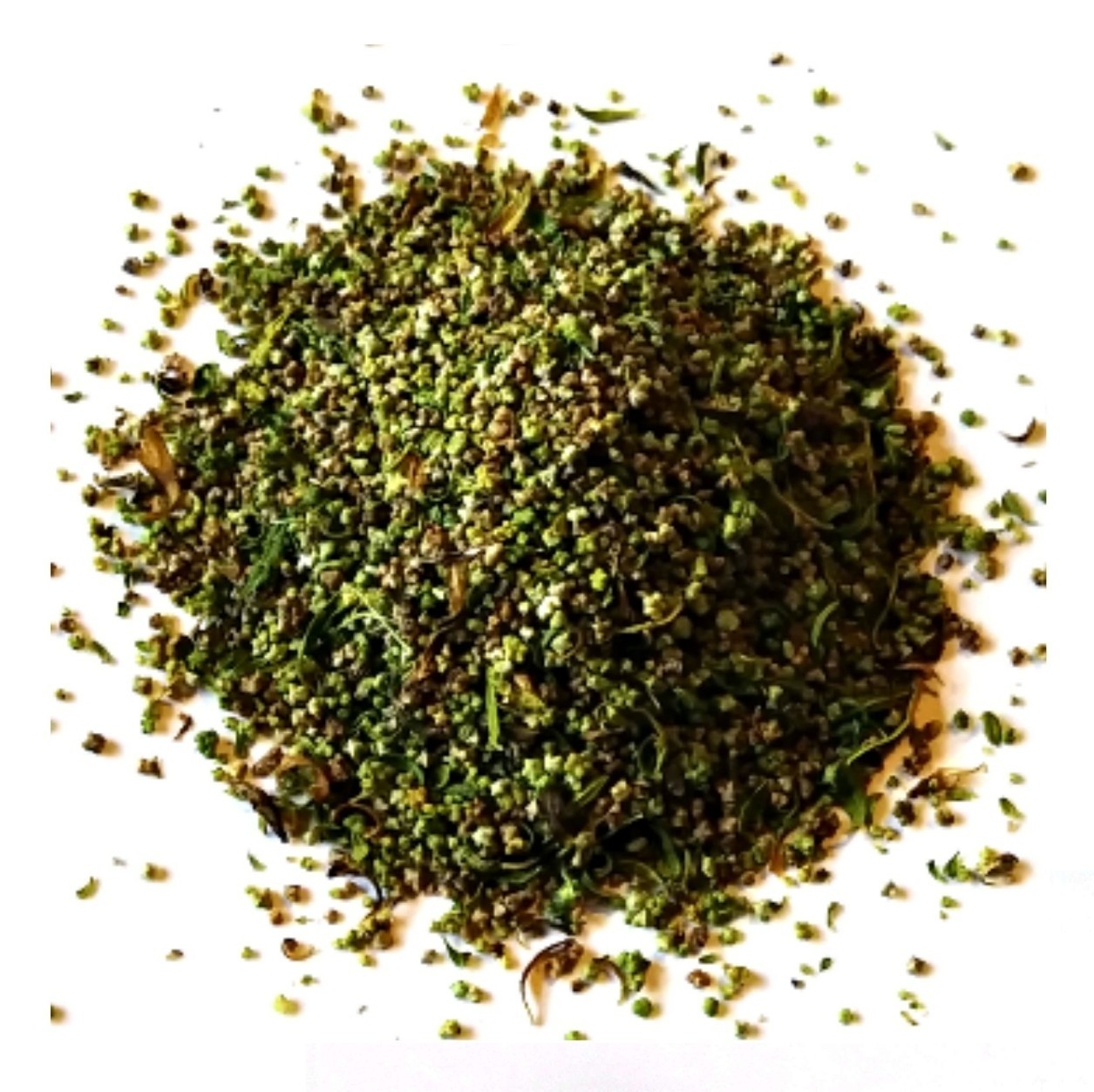(1 Oz.) Bulk Organic Epazote Seeds