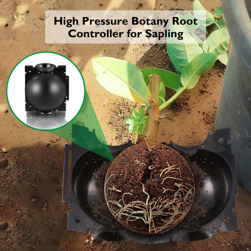 10x Black Propagation Tree Plant Rooting Ball Branch Root Grow Box Nursery Pot