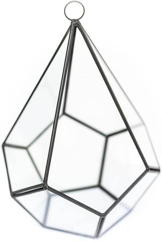 Glass Diamond Terrarium with Air Plant – Easy Indoor Outdoor Home Decor
