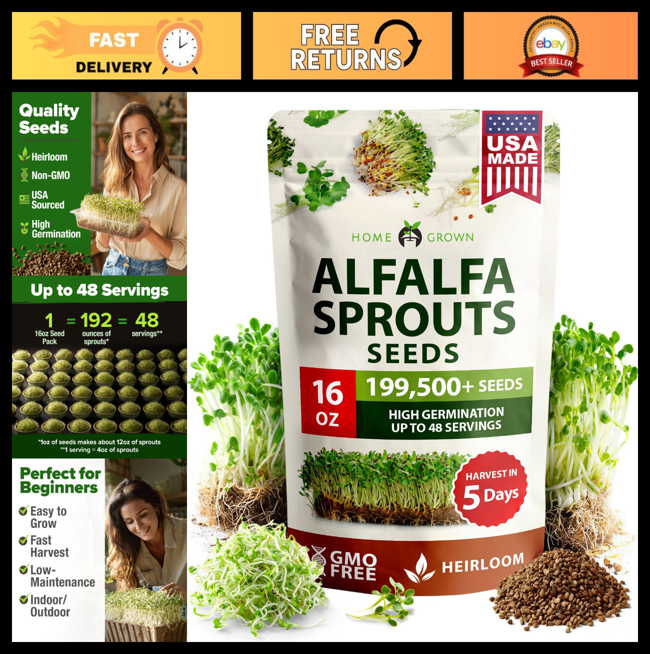 Non-GMO Alfalfa Sprout Seeds 16oz Bulk – High Germination for Indoor/Outdoor Mic