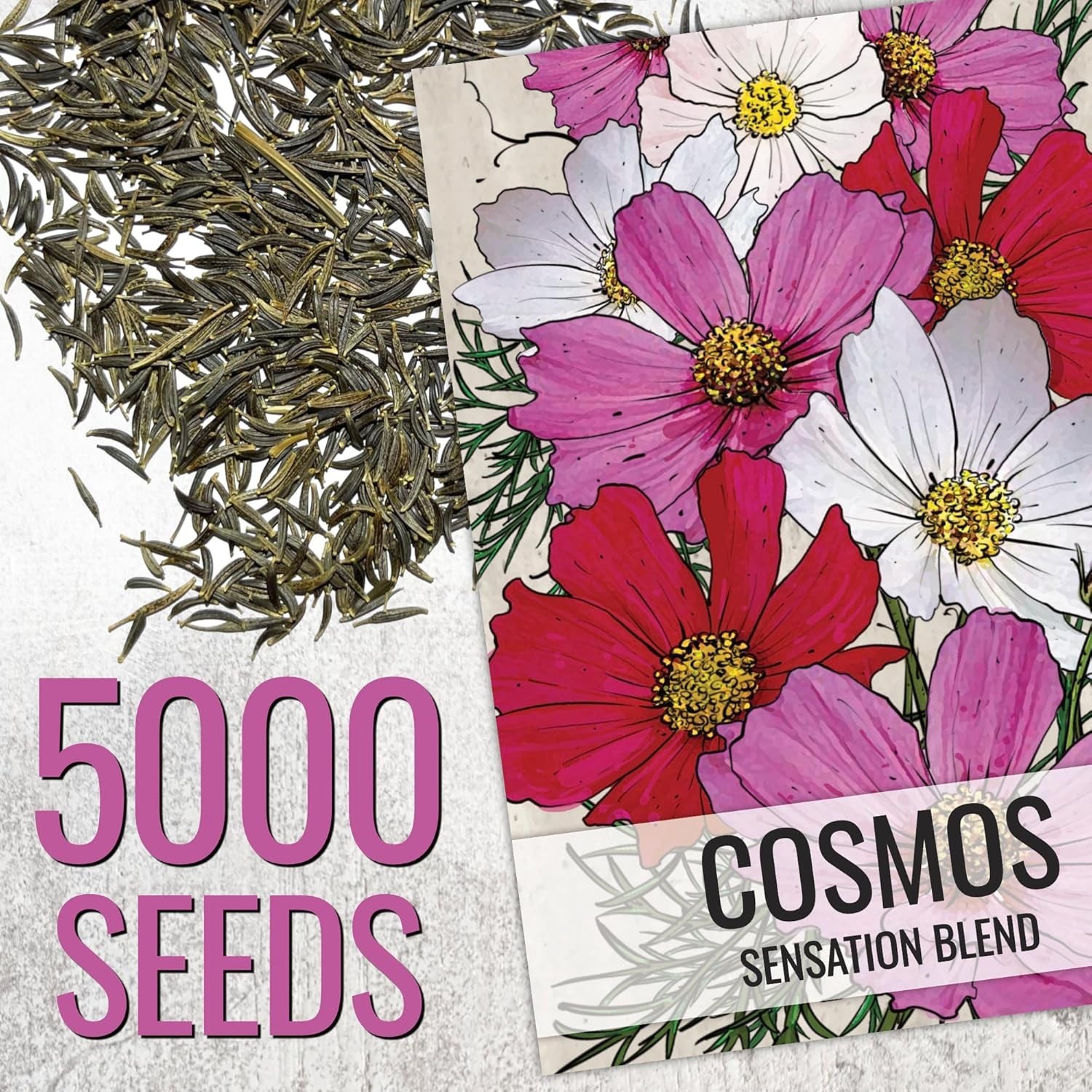 Sensation Blend Cosmos Seeds 5,000+ Heirloom Seeds