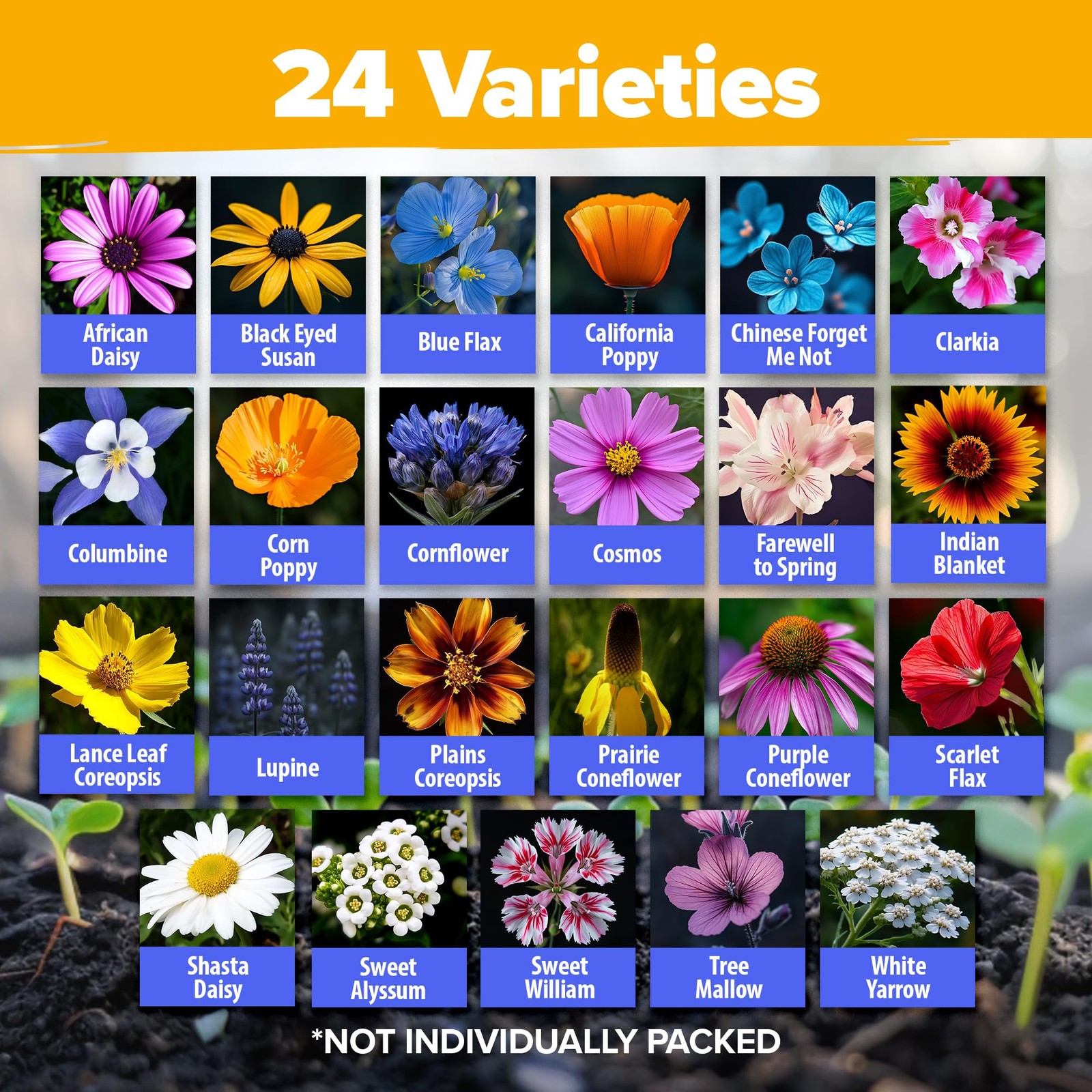 Wildflower Seeds Bulk Mix | 90,000+ NonGMO Perennial Flower Seed for Outdoor …