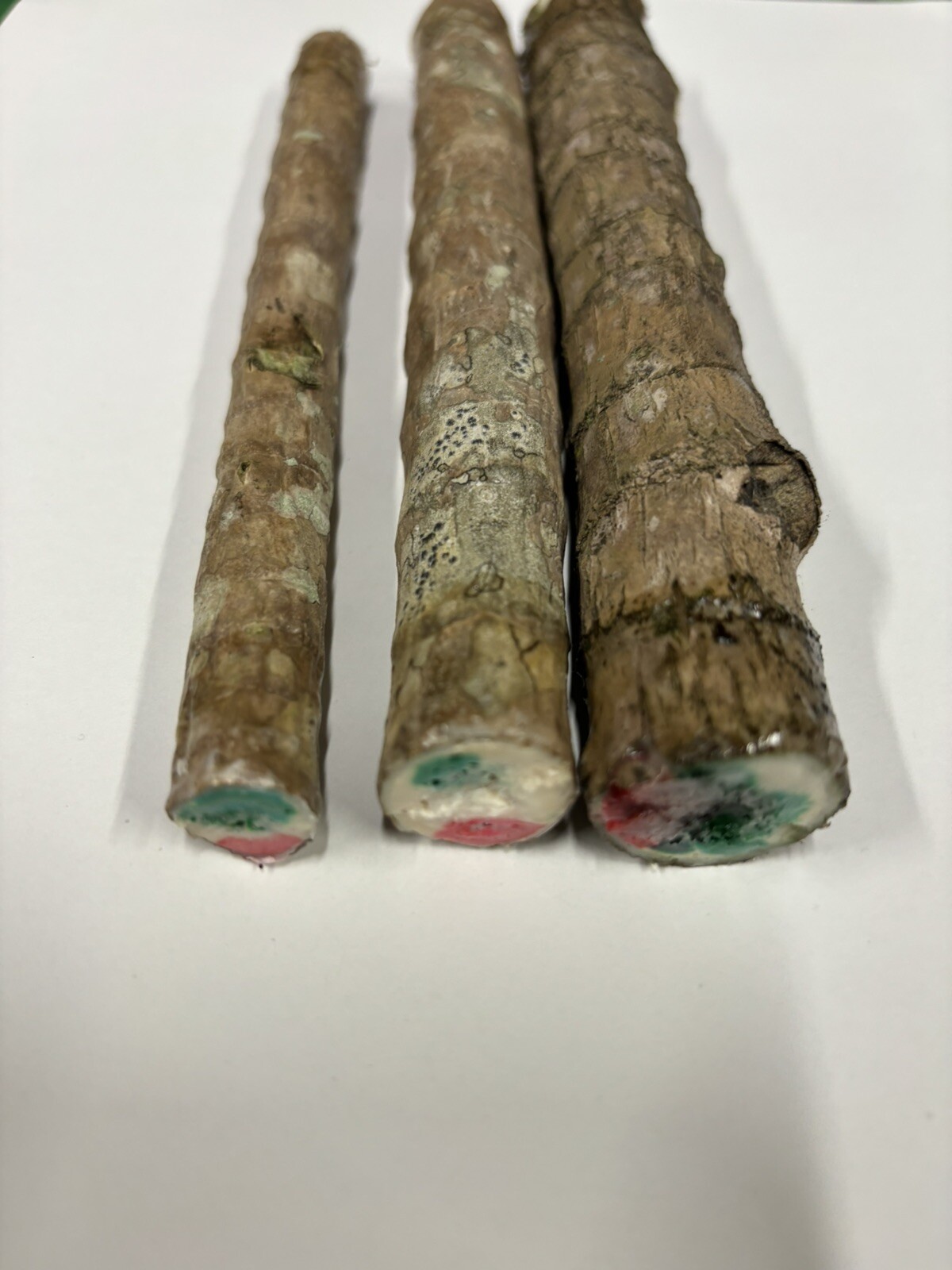 Hawaiian Green/Red Hybrid Ti Leaf Fresh Cuttings 6″ Starters 6 Logs