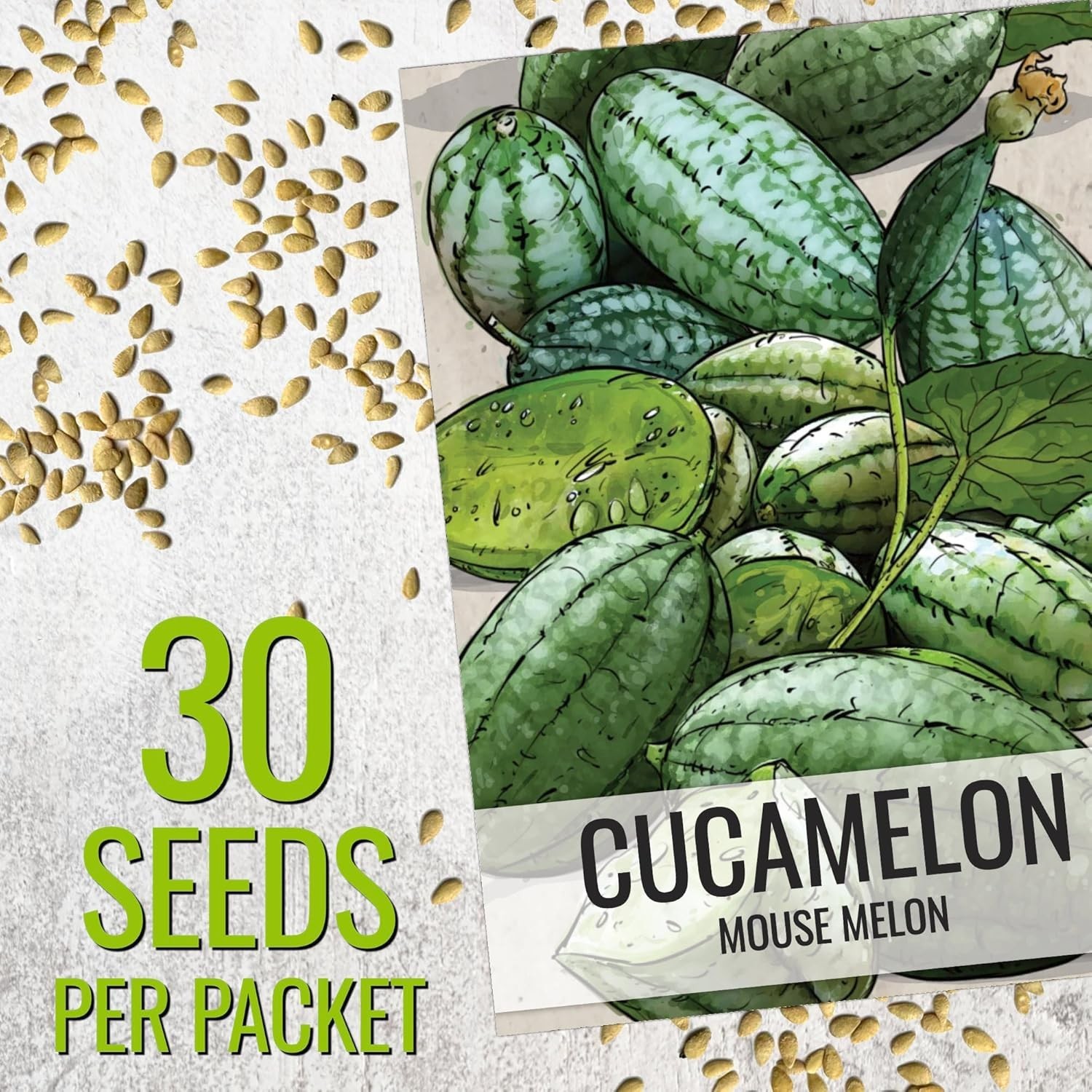 Cucamelon Seeds – Non-GMO Heirloom Mexican Sour Gherkins, 2 Packs for Gardening