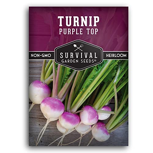 Turnip Seeds for Planting | Purple Top Heirloom Non-GMO Variety | Root 1