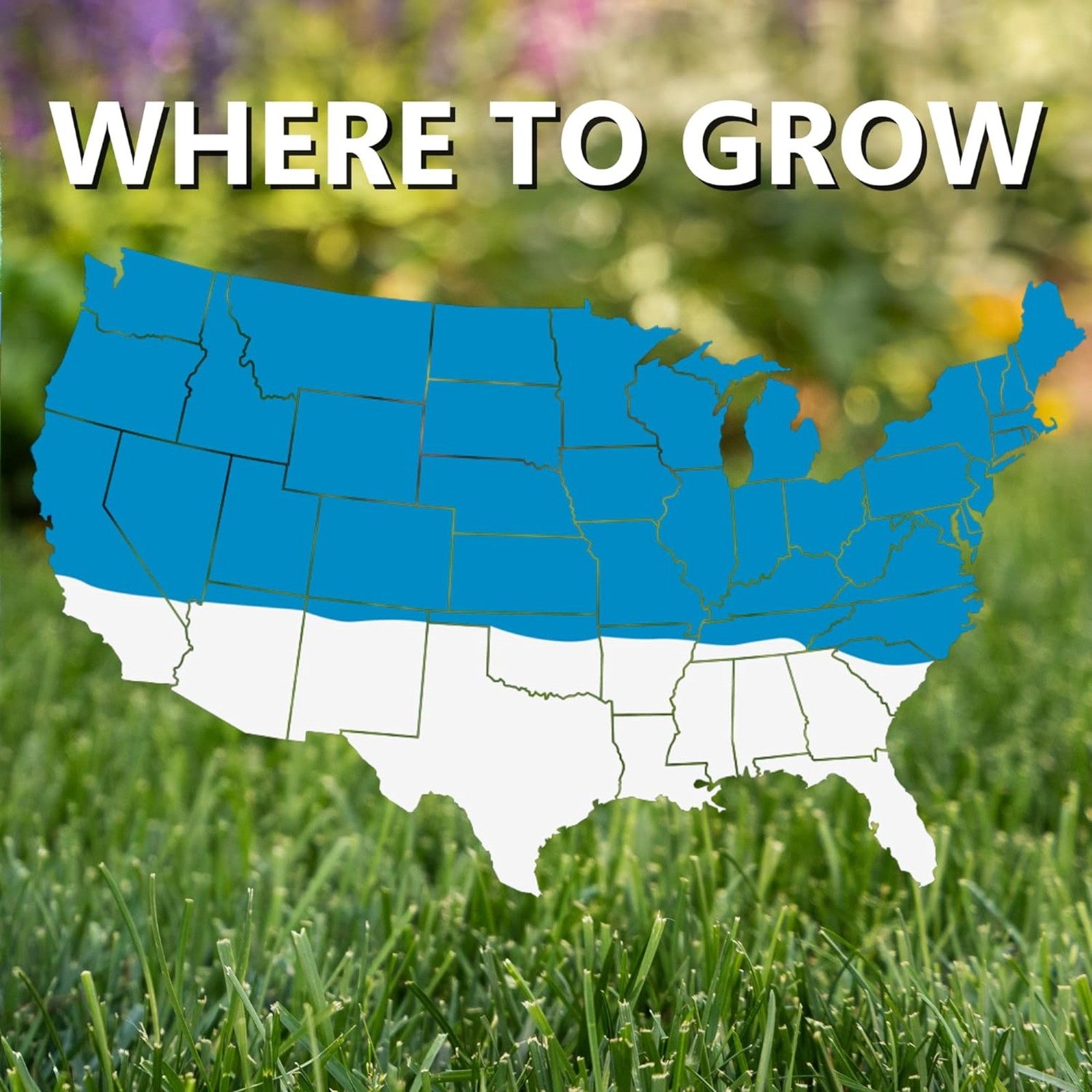 Jonathan Green (#11980) Blue Panther Kentucky Bluegrass Seed – 25lb bag