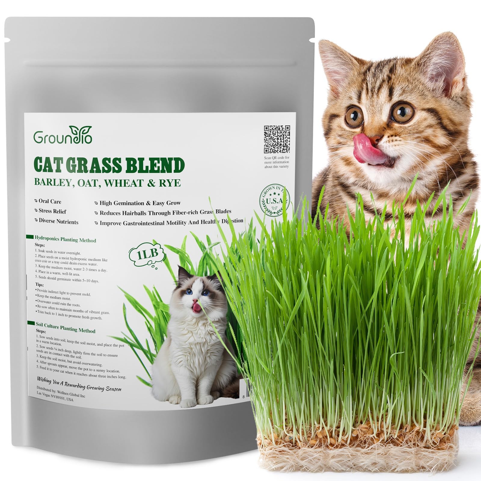 Cat Grass Seeds, 16OZ NonGMO Barley, Oats, Wheat, Rye 4 Varieties Seed, Fast …