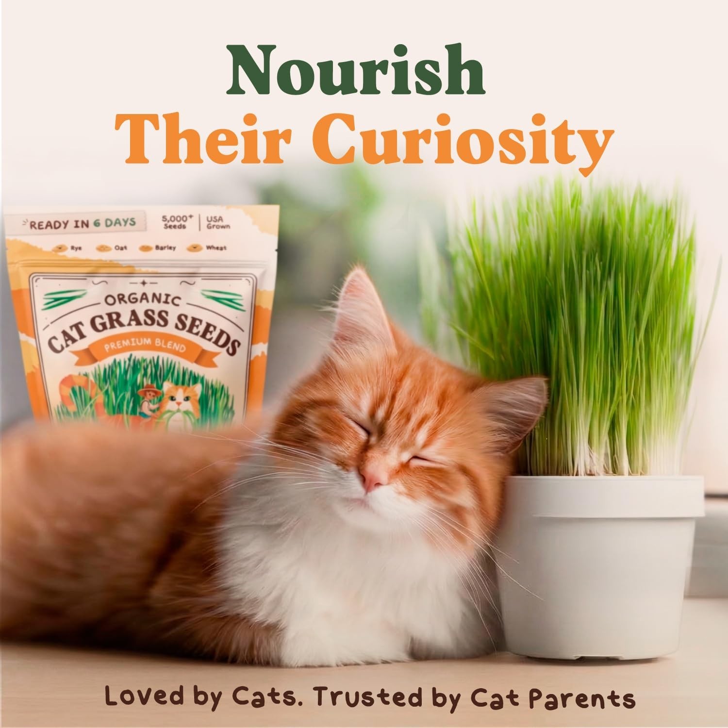 Organic Cat Grass Seeds – Non-GMO Wheat, Oat, Rye & Barley for Indoor Cats (16 o