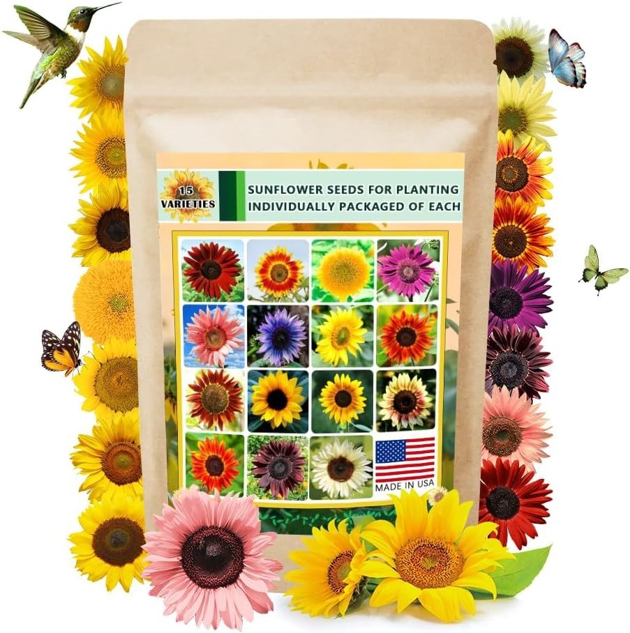 Bulk Sunflower Seeds 1000+ Heirloom Non-GMO 15 Packets for Pollinator Garden