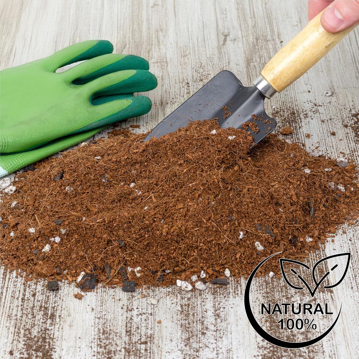 Terrarium Potting Soil Mix (4 Quarts), w/Blended Filtering Charcoal 4 Quarts